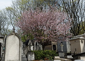 cimetière du père lachaise paris guidebook